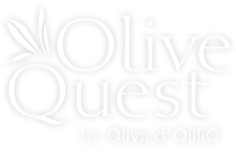 Olive Quest