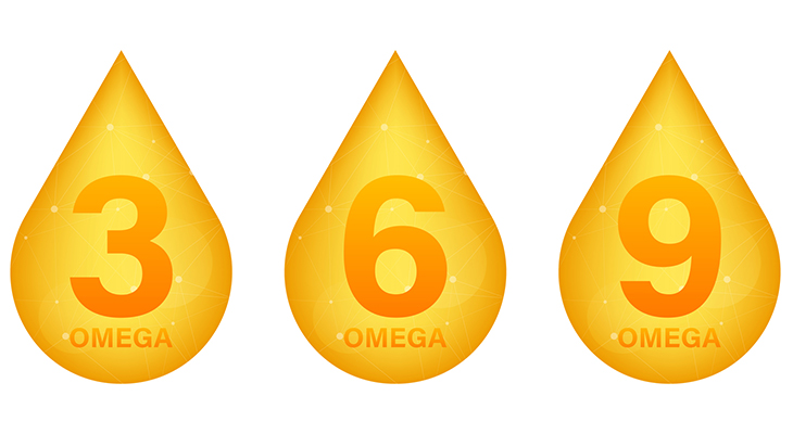 オメガ とは オメガ3 6 9の特徴と上手な摂り方 Oil Style 日清オイリオ オンラインショップ