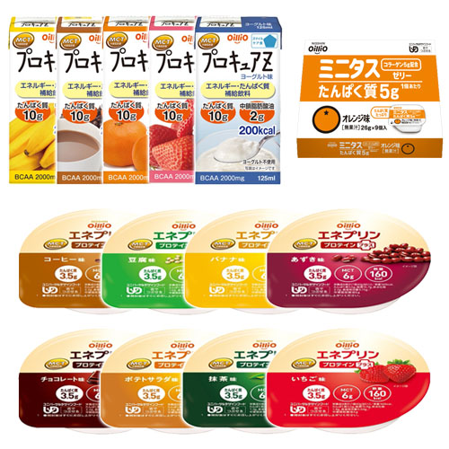 エネルギー　たんぱく質補給　お試し介護食お味見セット　10%OFF　送料無料