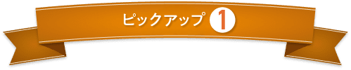 たんぱく質調整食品第1位