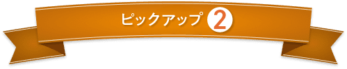 たんぱく質調整食品第2位
