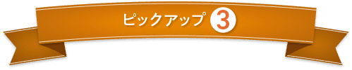 たんぱく質調整食品第3位