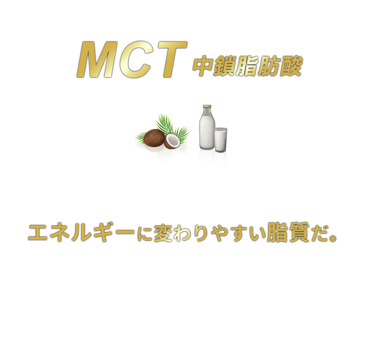 MCT 中鎖脂肪酸 ココナッツや牛乳に多く含まれるMCTは、一般的な脂質と比べ、すぐにエネルギーになりやすい エネルギーに変わりやすい脂質だ。