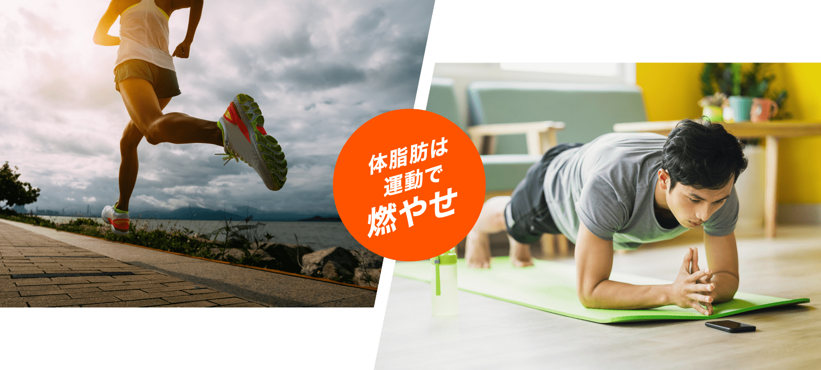 体脂肪は運動で燃やせ