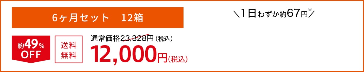 6ヶ月セット 12箱 約49%OFF 送料無料