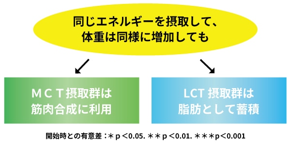 MCTとLCT