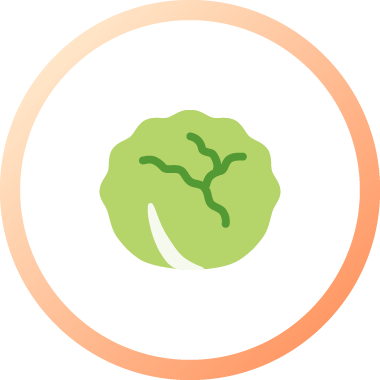 手軽に食物繊維を摂りたい