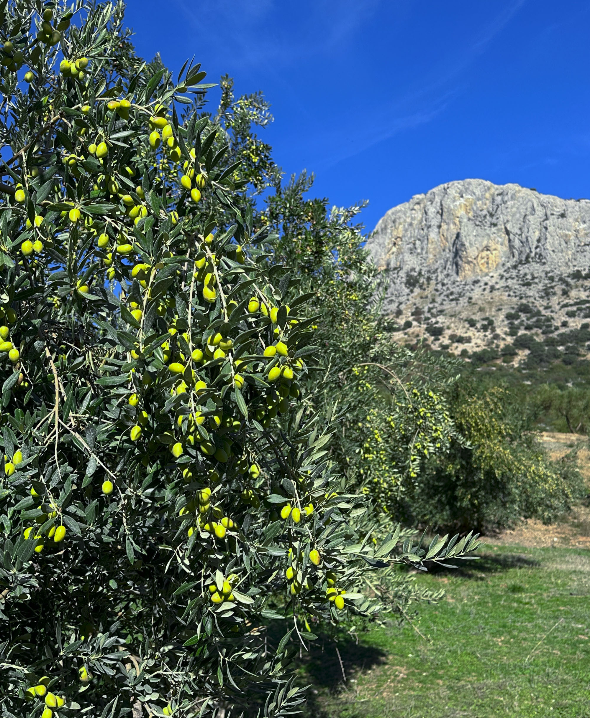 スペイン・アンダルシア