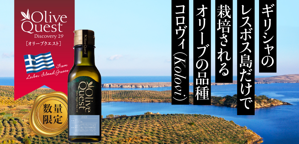 オリーブ・クエスト