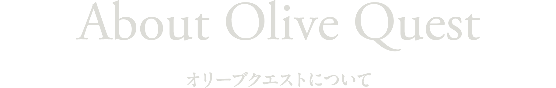 オリーブクエストについて