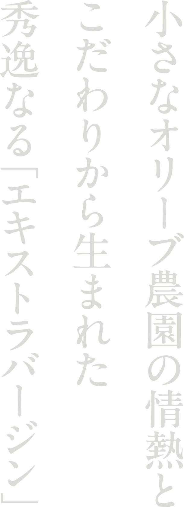 小さなオリーブ農園の情熱とこだわりから生まれた秀逸なるエキストラバージン