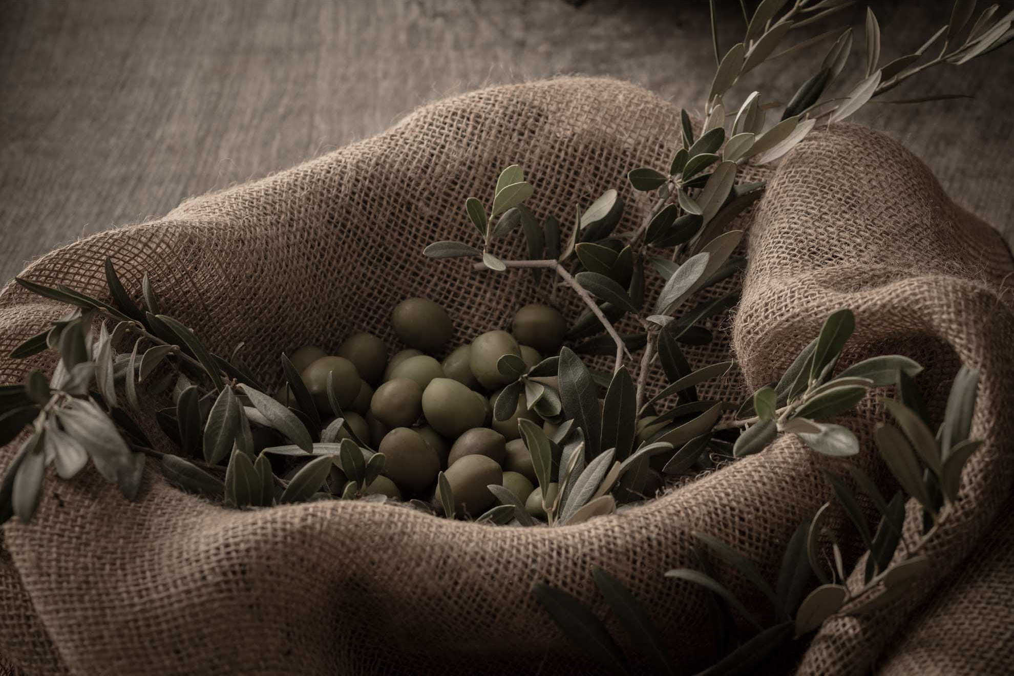 オリーブの実
