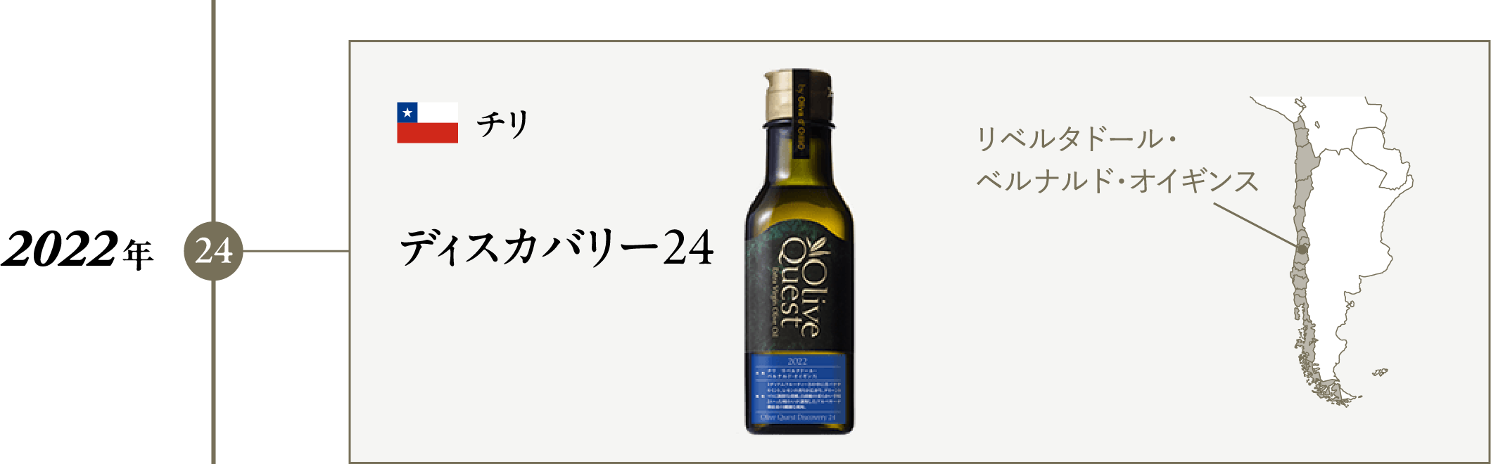 オリーブクエスト ディスカバリー 24