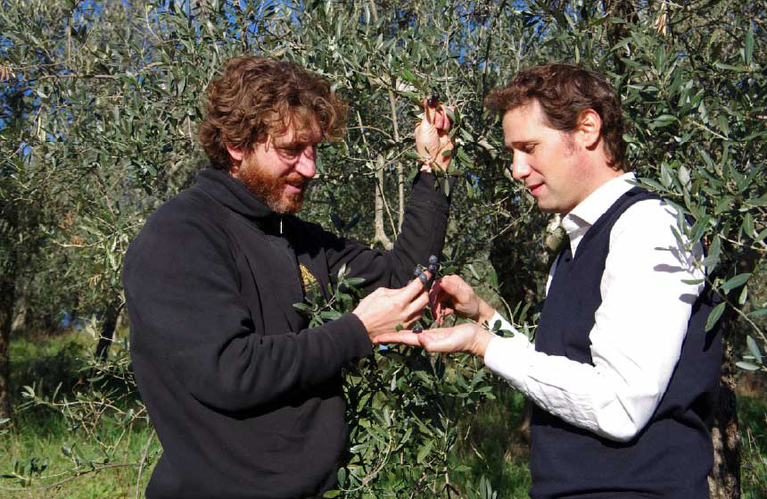 オリーブクエストへの想い