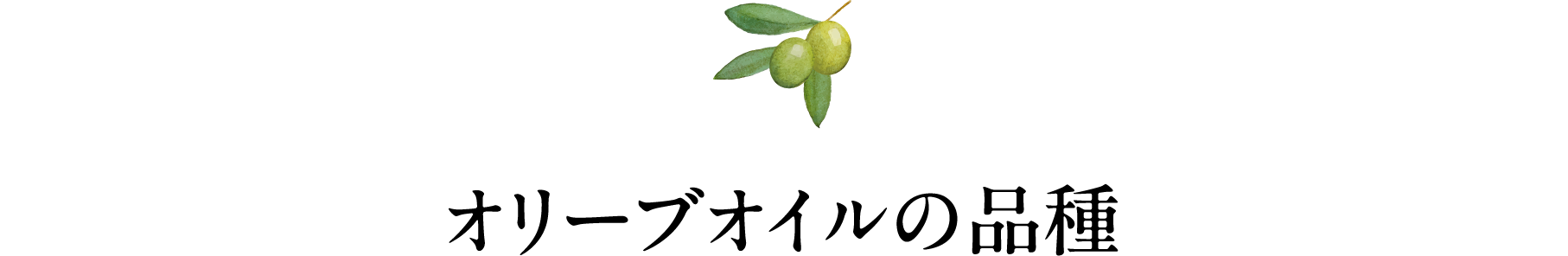 オリーブオイルの品種